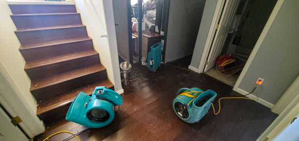 Best 24/7 water damage repair  in Mechanicsville, MD