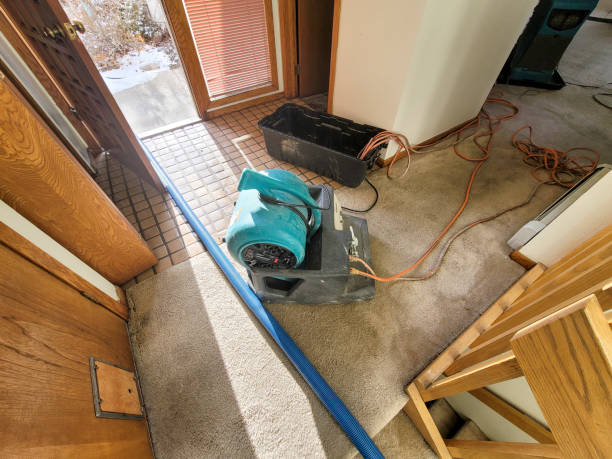 Water damage restoration mold remediation in MD