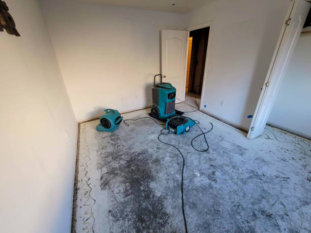 Local water damage restoration in MD