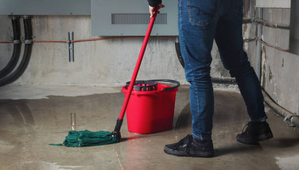 Best Commercial water damage restoration  in Mechanicsville, MD