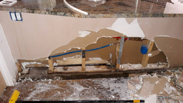 Best Water damage restoration mold remediation  in Mechanicsville, MD