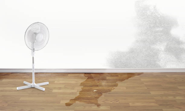 Best Water damage contractors near me  in Mechanicsville, MD