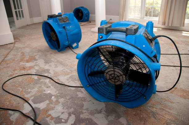 Best Water damage restoration near me  in Mechanicsville, MD