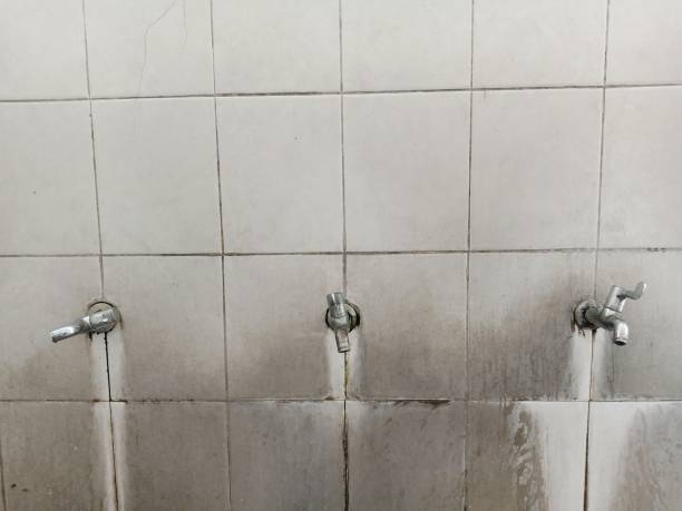 Best Water damage mitigation services  in Mechanicsville, MD