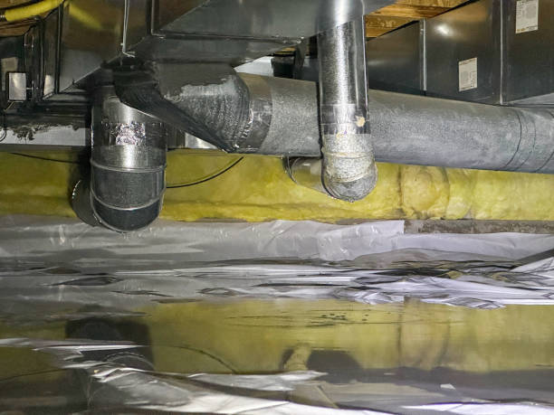 Best Flooded house restoration  in Mechanicsville, MD