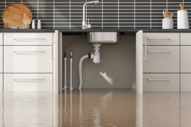 Best 24-hour water damage restoration  in Mechanicsville, MD