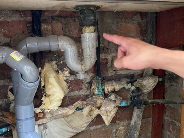 Best Mold removal after water damage  in Mechanicsville, MD