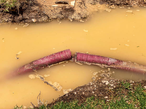 Best Local water damage restoration  in Mechanicsville, MD