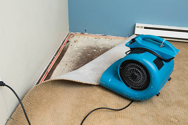 Best Flood restoration services  in Mechanicsville, MD